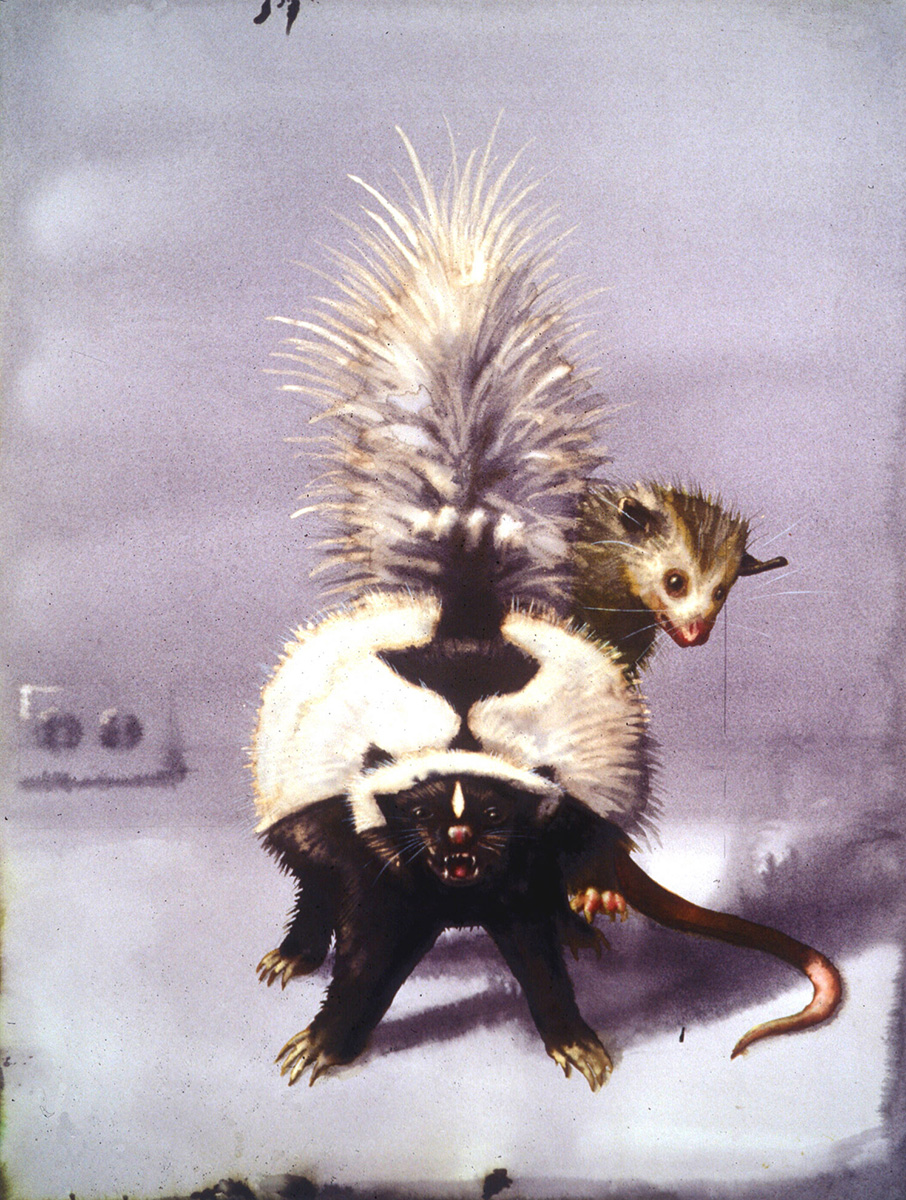 00-15_possum-skunk