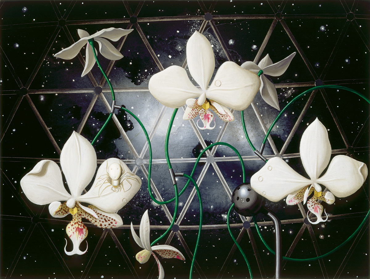 biosphere_orchids_18x24