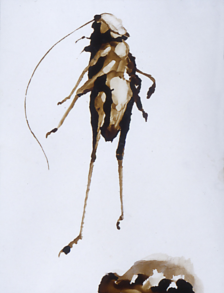 labrea_1999-grasshopper-12×9