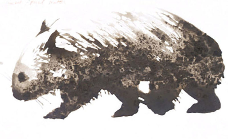 tasmania_2004-wombat-9×12