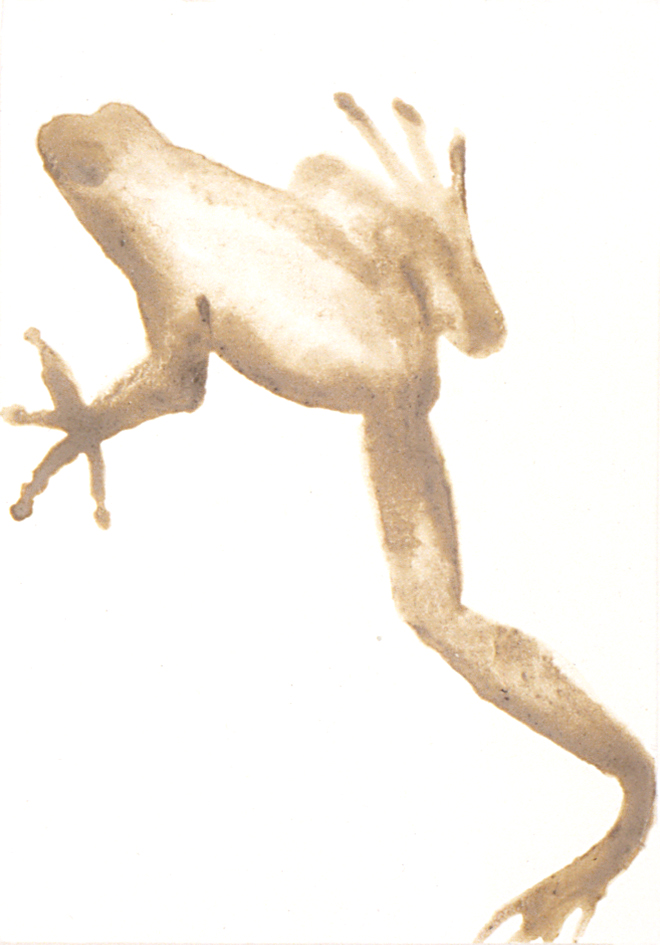 1994:95-frog-9×6