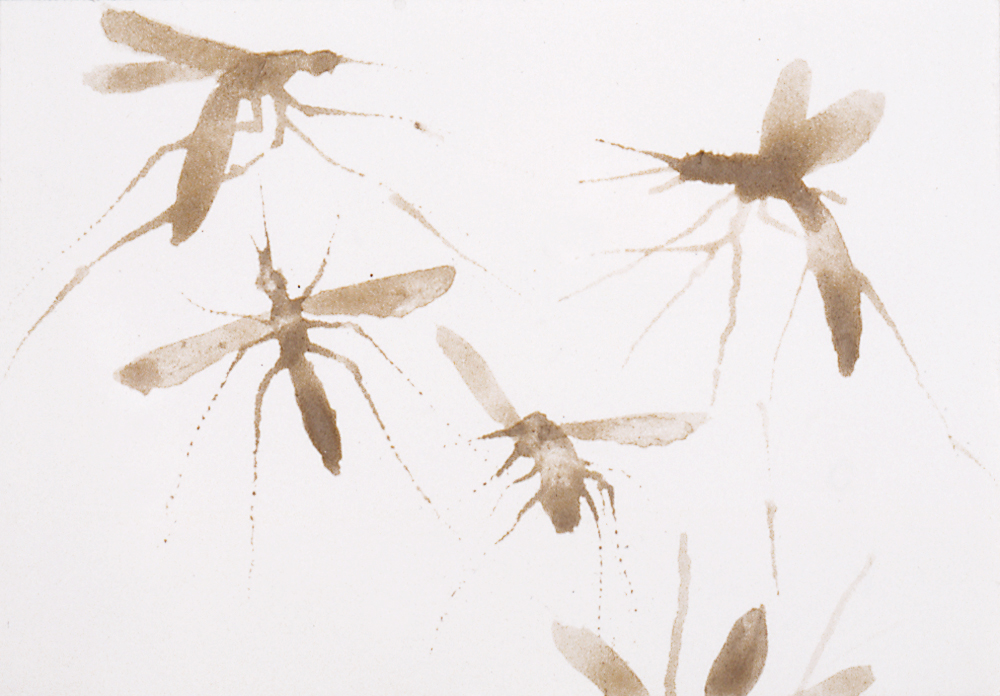 1994:95-mosquito-6×9