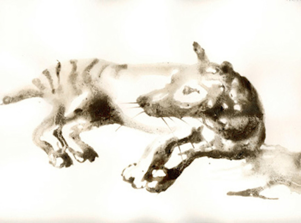 2004-thylacinelyingdown-9×12