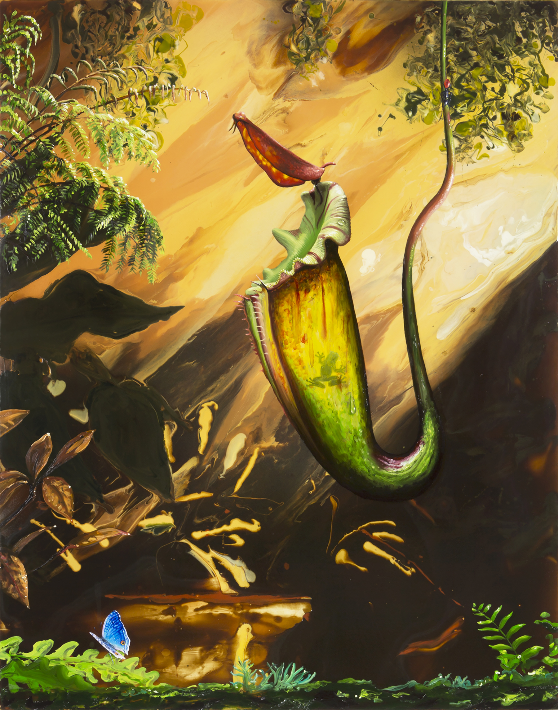 Nepenthes_56X44
