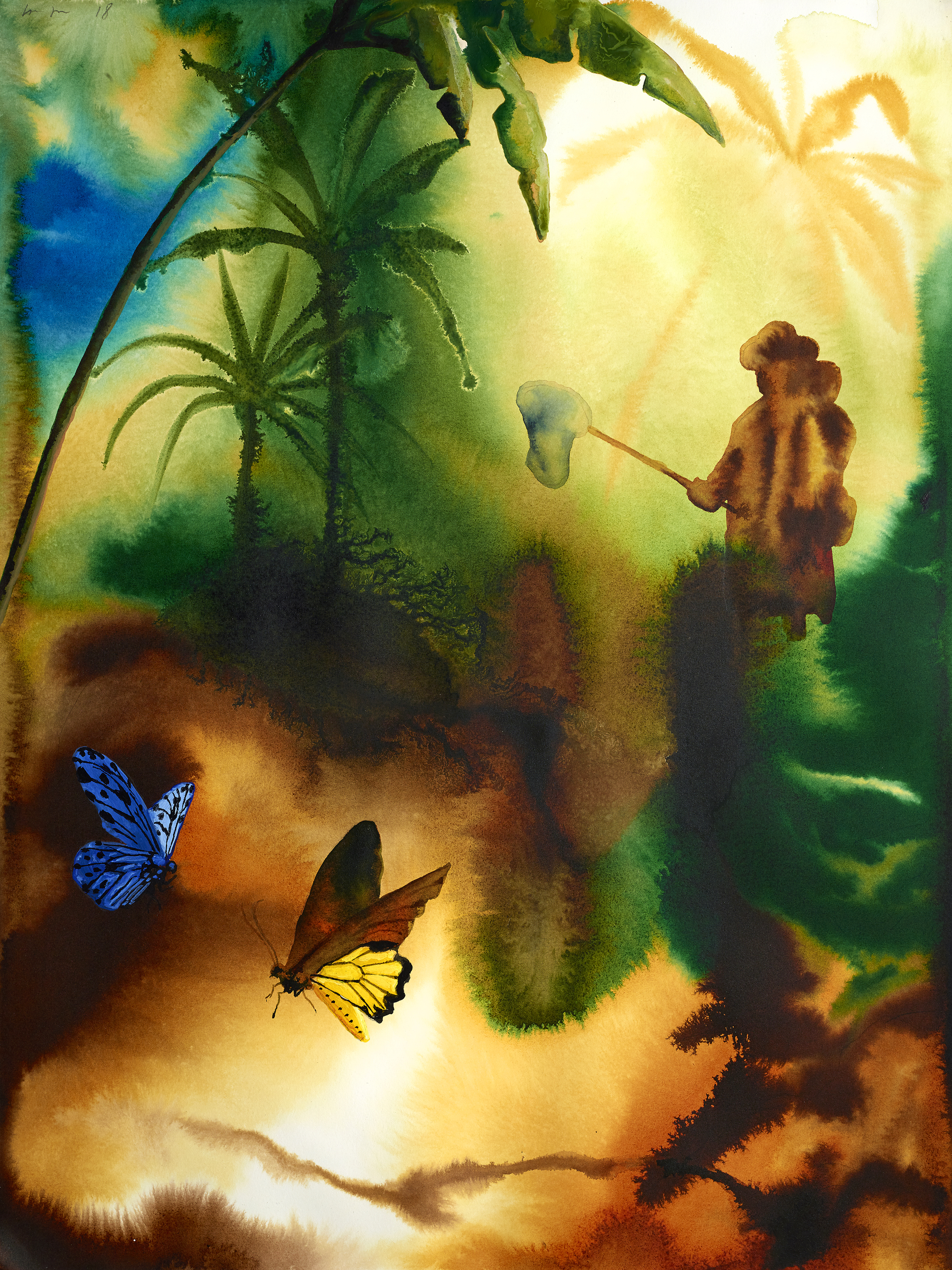 Untitled (Butterfly Collector)